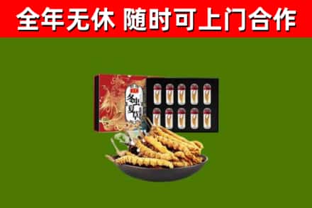 龙南市回收冬虫夏草价格